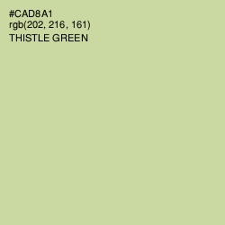 #CAD8A1 - Thistle Green Color Image